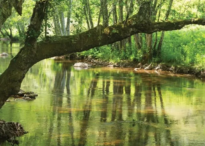 Hébergement de vacances A Casa Da Carmita
